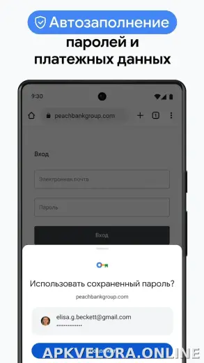 Google Chrome скриншот 6