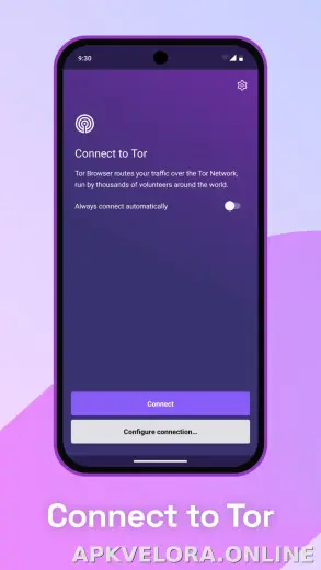 Tor Browser скриншот 1
